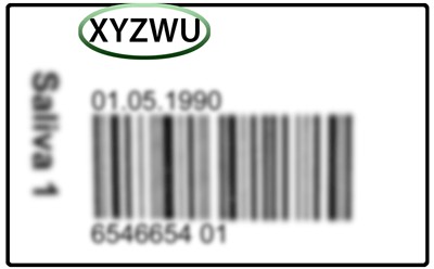 Esempio del codice di accesso anonimo trovato all'interno della spedizione Persometrica