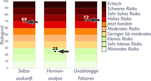 Beispiel einer Interpretation aus dem Persometrics-Stressbericht
